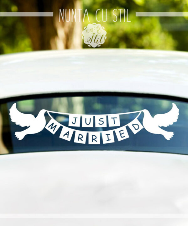 Just Married + Porumbei