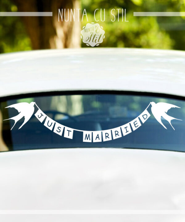 Sticker Masina Mirilor - Just Married + Randunici